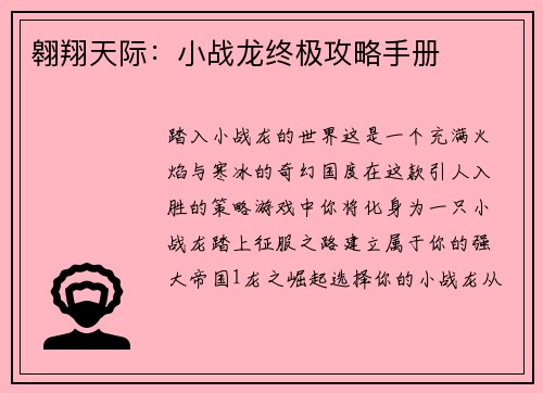 翱翔天际：小战龙终极攻略手册